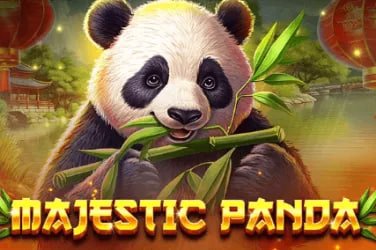 Pengguna bermain sukitoto menggunakan smartphone dengan antarmuka intuitif dan responsif